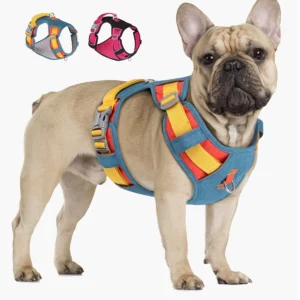 Waterproof No Pull Dog Harness Reflective Adjustable Nylon Vest
