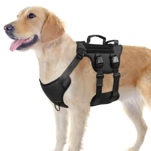 Escape-Proof No Pull Dog Harness with Dual Handles