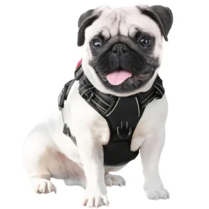 No Pull Dog Harness with Front Clip and 3 Buckles