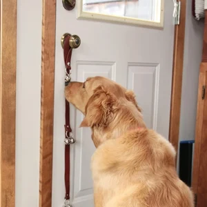 Pet Training Door Bell with Pull Cord for Potty Communication