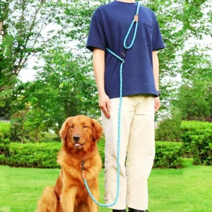 Adjustable Hands Free Reflective Dog Leash Multi Use Walking Rope