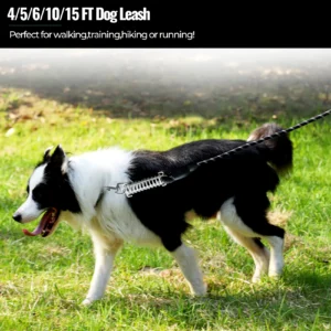 Braided Reflective Dog Leash Heavy Duty Chew Resistant Training Lead