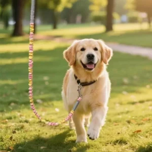 Elastic Shock Absorbing Dog Leash Heavy Duty Training Rope