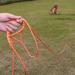 Reflective Long Dog Leash Outdoor Training Walking Lead