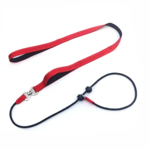 P Chain Dog Training Leash Padded Handle Walking Rope