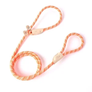 Cartoon Pet Leash Safety Buckle Walking Rope for Dogs