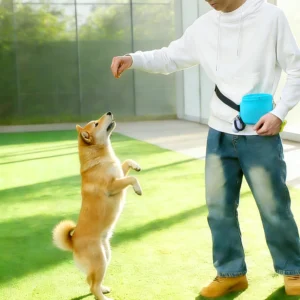 Silicone Dog Treat Pouch with Buckle Portable Waist Bag